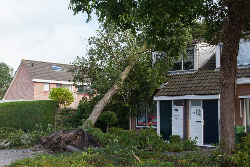 Service Mast Repair After Storm Damage What to Expect